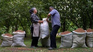  Garden Fresh: Picking Hazelnuts and Preparing Hazelnut Butter Outdoors