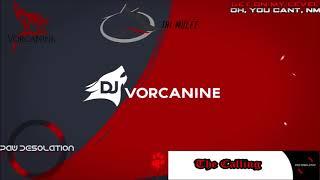 DJ Vorcanine - The Calling