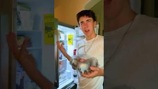 who put MUFFINS in MY FREEZER..? #shorts #trend #viral