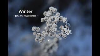 Mein eigenes Gedicht: Winter - Johanna Klugsberger | Gedicht zum Lauschen