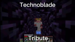 Technoblade tribute (Legends never die)