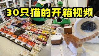 30只猫的开箱视频～