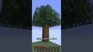 skyblock in 44 seconds