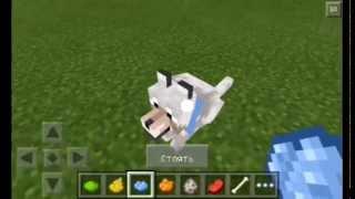 Как покрасить ошейник собаке в Minecraft Pocket Edition 0.11.0