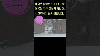 [JKTV 11회]#Shorts. Life of US. #jktv #usa #NaTuber Lee