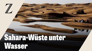 Regenfälle überschwemmen Sahara-Wüste