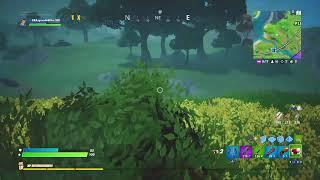 Gngy plays fortnite? Pt2