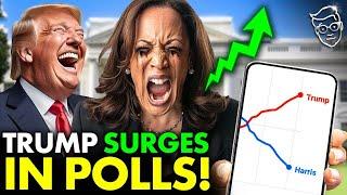 New Polls Show Trump SURGE in Swing State Polls | Electoral LANDSLIDE | Kamala Campaign In SHOCK