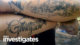 Skin-Deep | APTN Investigates