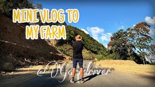 Mini vlog to my piggery farm #mokokchung