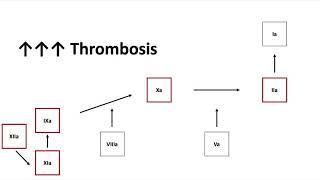 Antithrombin Deficiency