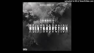 Laa Mookie-reintroduction