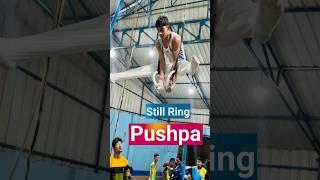 PUSHPA PUSHPA | Pushpa 2 The Rule | Still Ring #shorts #trending #youtubeshorts #pushpa #pushpa2 #yt