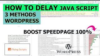 How to delay the JAVA script for the WordPress site page to Speed BOOST the website.