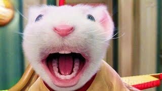 Rato voador | O Pequeno Stuart Little 2 | Clipe