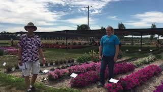 2020 Raker-Roberta's and the Michigan Garden Plant Tour