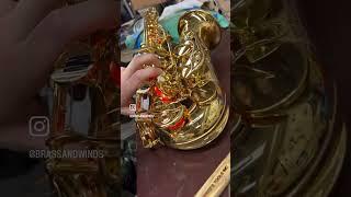 A typical day at The Mighty Quinn Brass and Winds 🪈 #musicshop #musicalinstrument