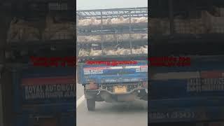 Follow Peta India,yv care. go for vegan meat, stop eating babies & stop causing pain & suffering 