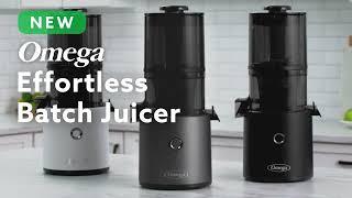 Omega Effortless™ Batch Juicer Sizzle