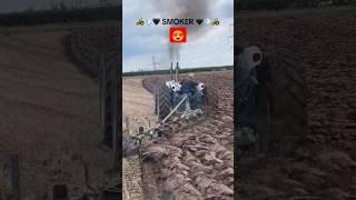 Пашут как по маслу #тракторист #farming #мтз #agriculture #mtz #пахота #вспашка