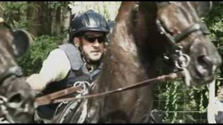 Carriage Driving from Beekbergen Holland