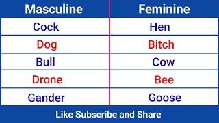 Masculine and Feminine Gender, 100 Examples of Masculine and Feminine Gender