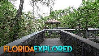 Tall Cypress Natural Area - Coral Springs, Florida | Florida Explored