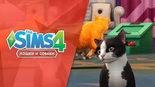 Играйте с кошками в «The Sims 4 Кошки и собаки»