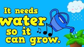 plants needs/KG2