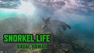 The BEST Place to Visit Below Sea Level | Kauai, Hawaii | Randy Sage Films