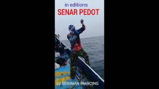 #Shorts In Editions SENAR PEDOT by Seniman Mancing