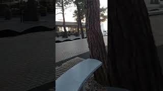 Ура, мы в Геленджике