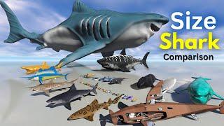 3D Sharks SIZE Comparison 2024 || Megalodon Vs Great White Shark Vs Porbeagle Shark  || 3D Animation