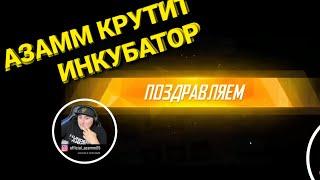 AZAMM ВЫБИВАЕТ СТАРЫЙ ОЛДОВСКИЙ ИНКУБАТОР/ФРИФАЕР