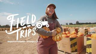 Dogtown Pumpkins - Field Trips