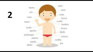 Cuerpo Humano I Human Body in Spanish Language (Part 2)