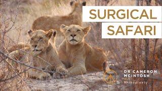 A Surgical Rhinoplasty Safari