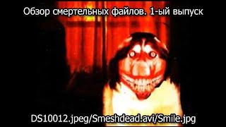 Обзор смертельных файлов. 1-ый выпуск (DS10012.jpeg/Smeshdead.avi/Smlie.jpg)