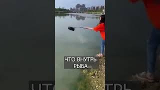Китайцы ловят рыбу в ХИТРУЮ ловушку  #шортс  #рыбалка