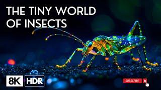 THE  INSECTS - 8K 60FPS ULTRA HD | The Tiny World Of Insects