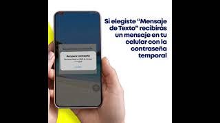 Recupera tu contraseña de BP en Línea con estos pasos