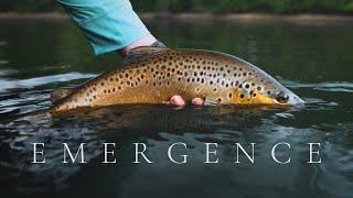 EMERGENCE | Summer Fly Fishing on the White River | 2023 IF4 Stimmie Nominee