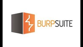 Web Application Security Testing with Burp Suite - Coursera Project Network