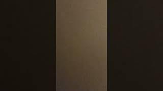 12 April 2025