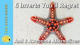 Top 6 Inverts You'll Regret (And 8 Awesome Alternatives)