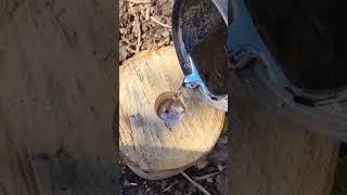 #funny #videos #memes #shorts offensive memes