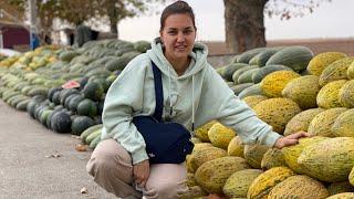 Переезжаем жить В Узбекистан из Подмосковья!!!Ташкент!!!