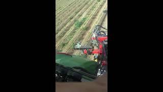 colibri sarchiatrice per carote su colmi, weeding machine on carrots on ridges