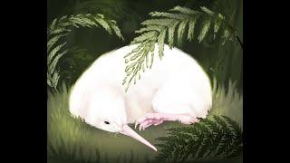 Rare white kiwi that inspired book and toys dies