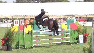 330 - Caroline Bell - Boomerang